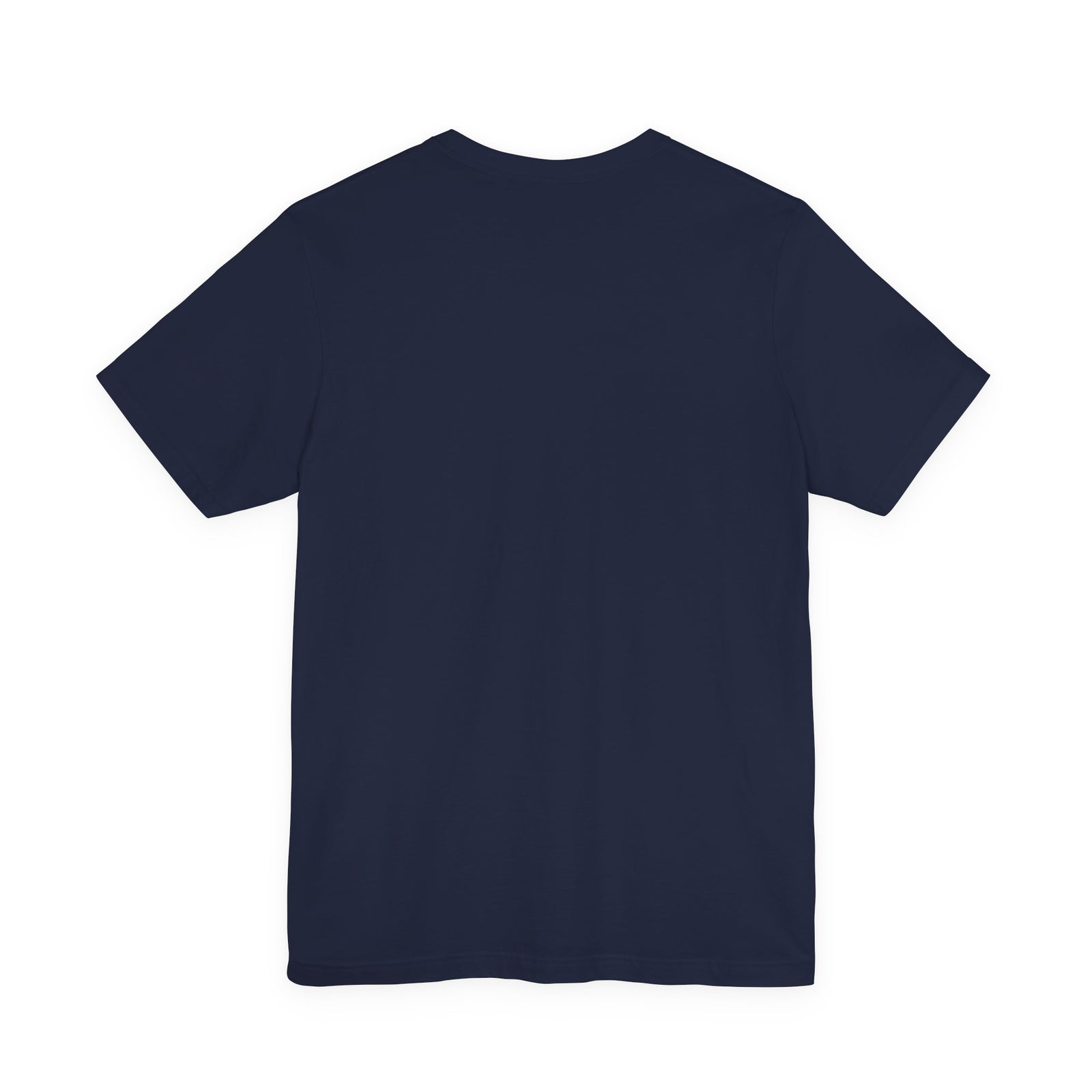 Texas disc golf basket T-shirt product mockup, view 18